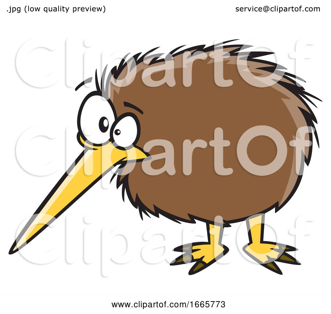 Cartoon Kiwi Bird by toonaday #1665773