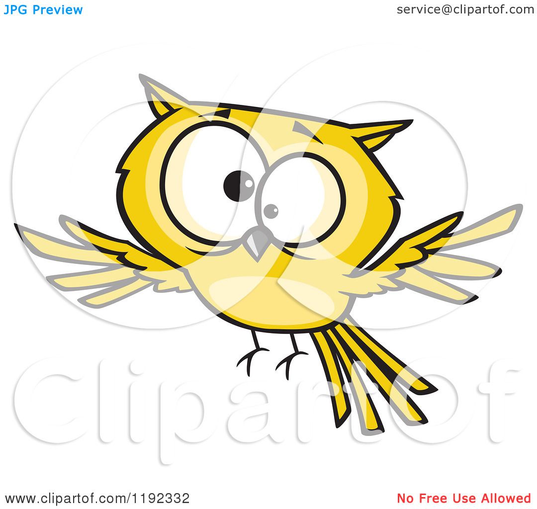 Cartoon of a Cross Eyed Yellow Owl Flying - Royalty Free Vector Clipart by  toonaday #1192332