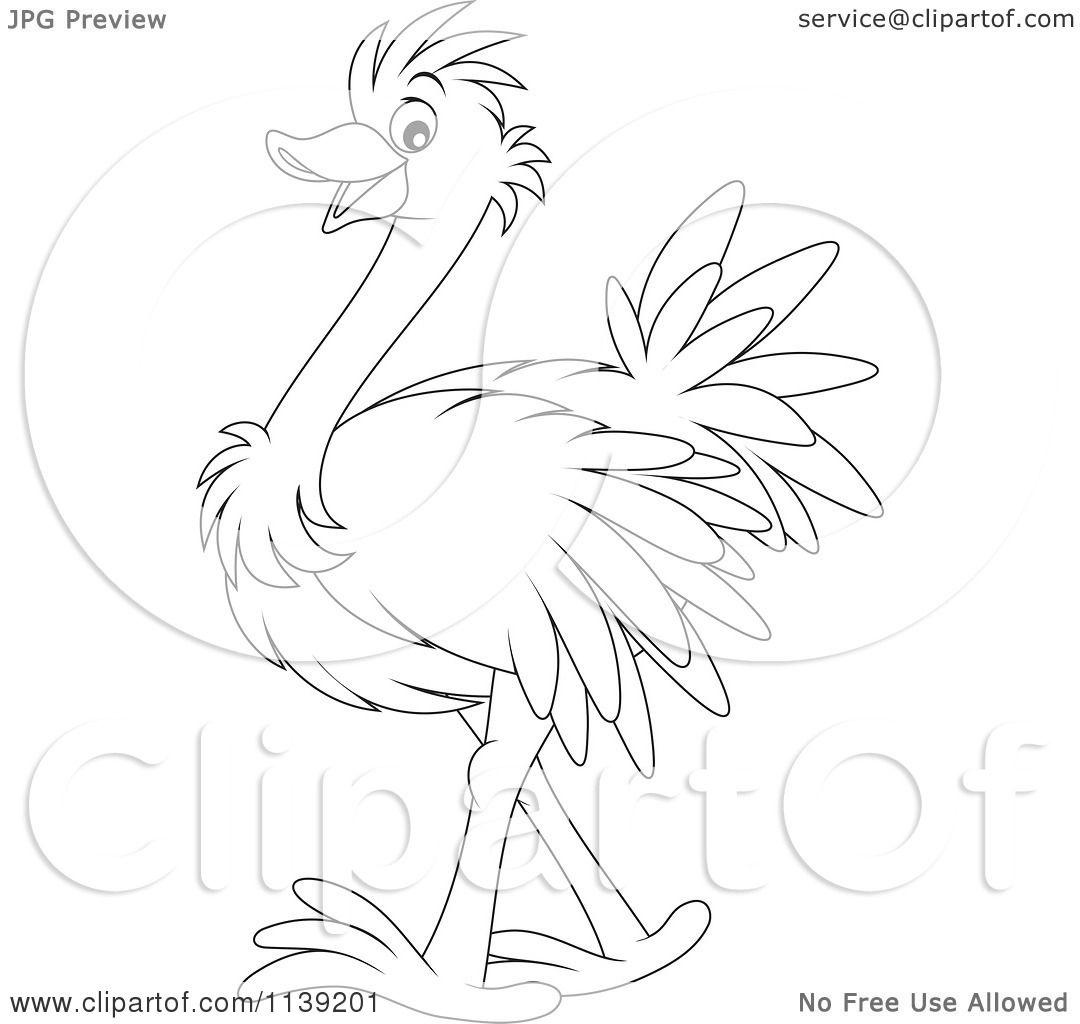 Cartoon Of A Cute Black And White Baby Ostrich - Royalty Free Vector