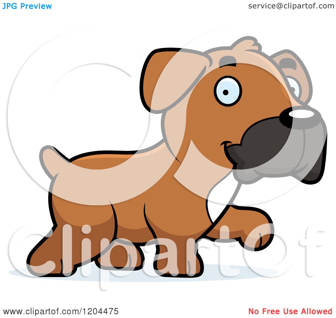 Cartoon of a Cute Boxer Puppy Dog Walking - Royalty Free Vector Clipart