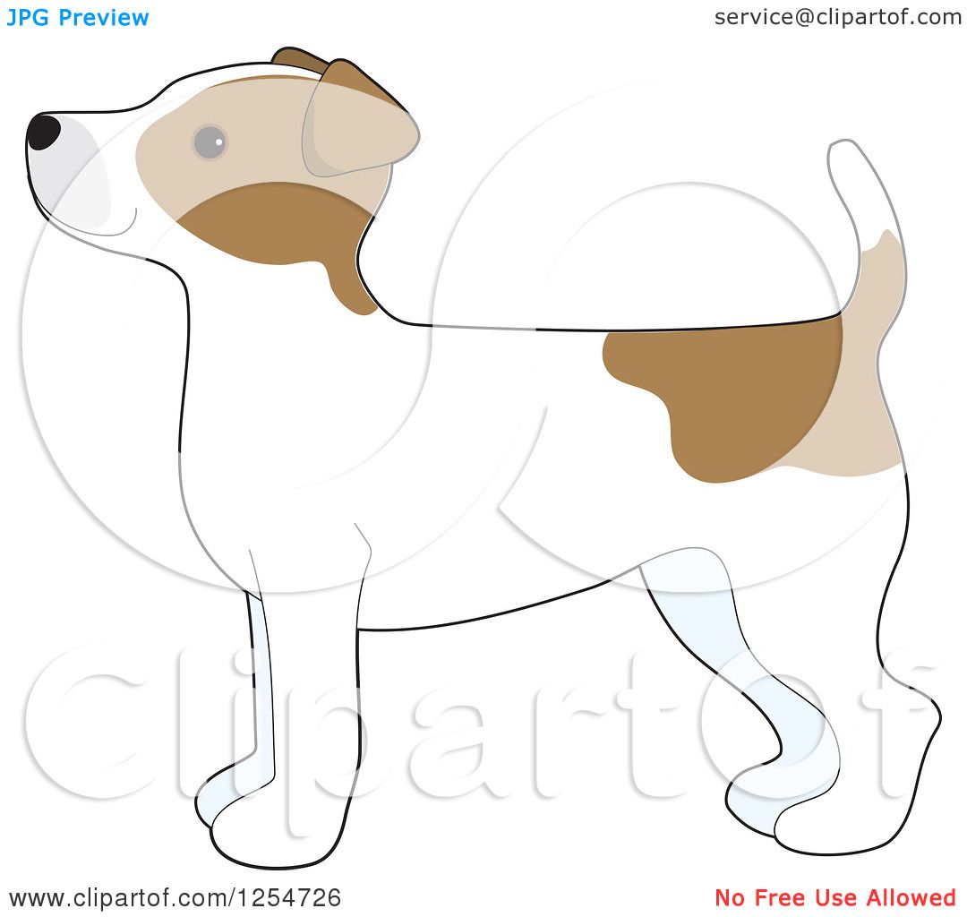 Cartoon of a Cute Jack Russell Terrier Dog in Profile - Royalty Free