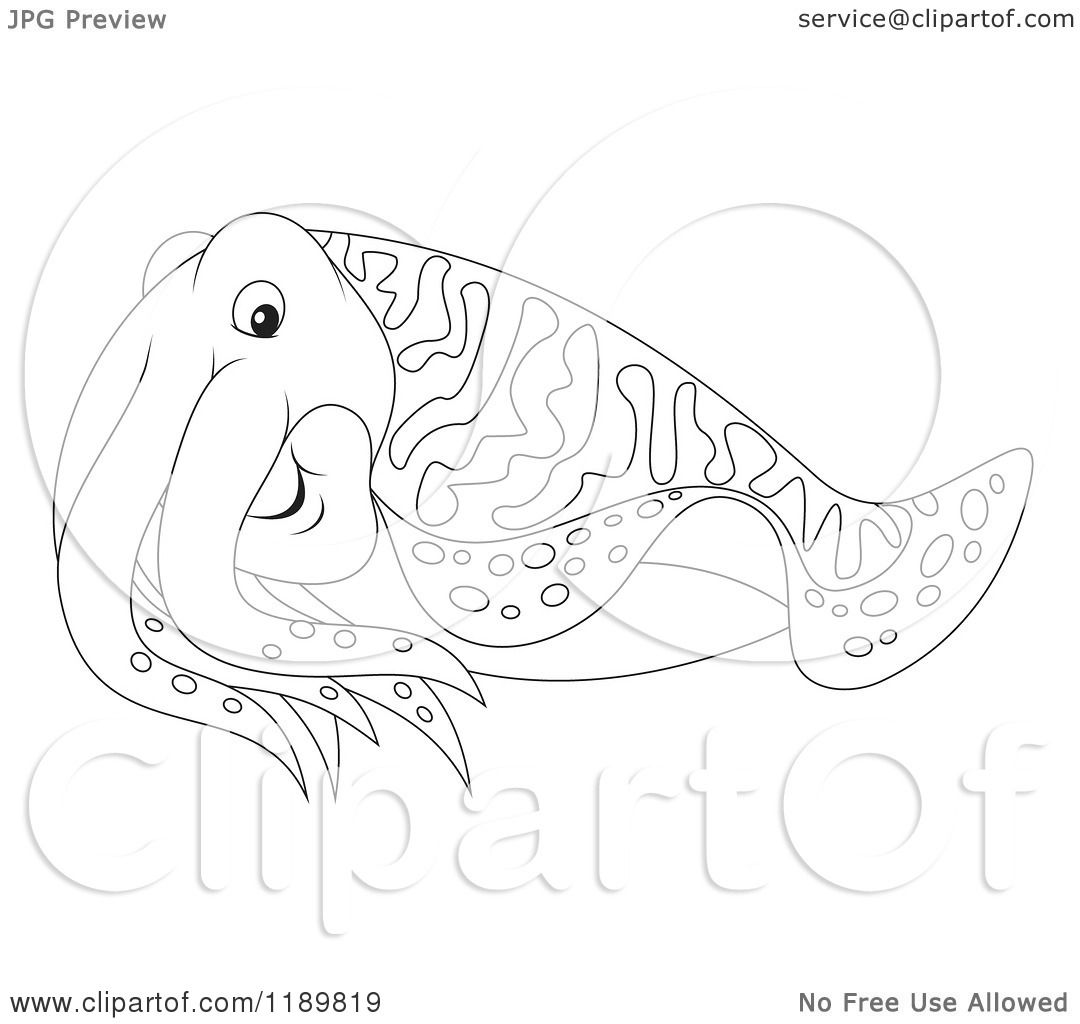 Cartoon of a Cute Outlined Cuttlefish - Royalty Free ...