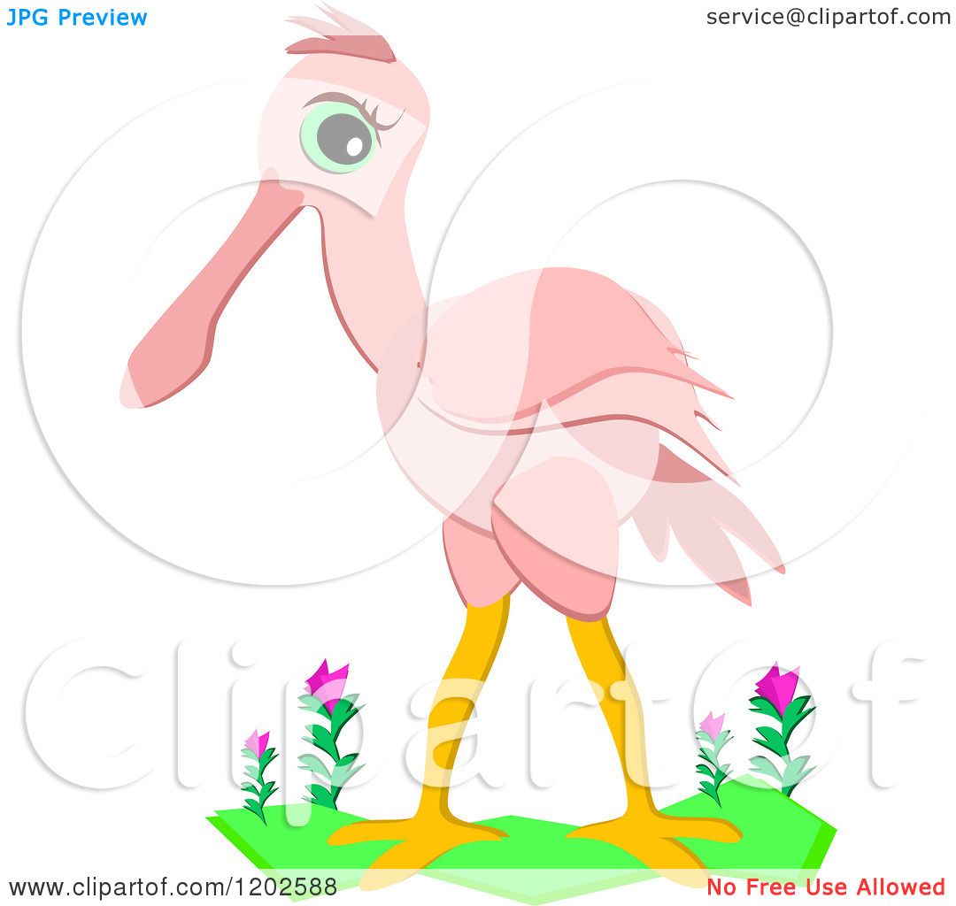 Download Cartoon of a Cute Pink Roseate Spoonbill Bird - Royalty Free Vector Clipart by bpearth #1202588
