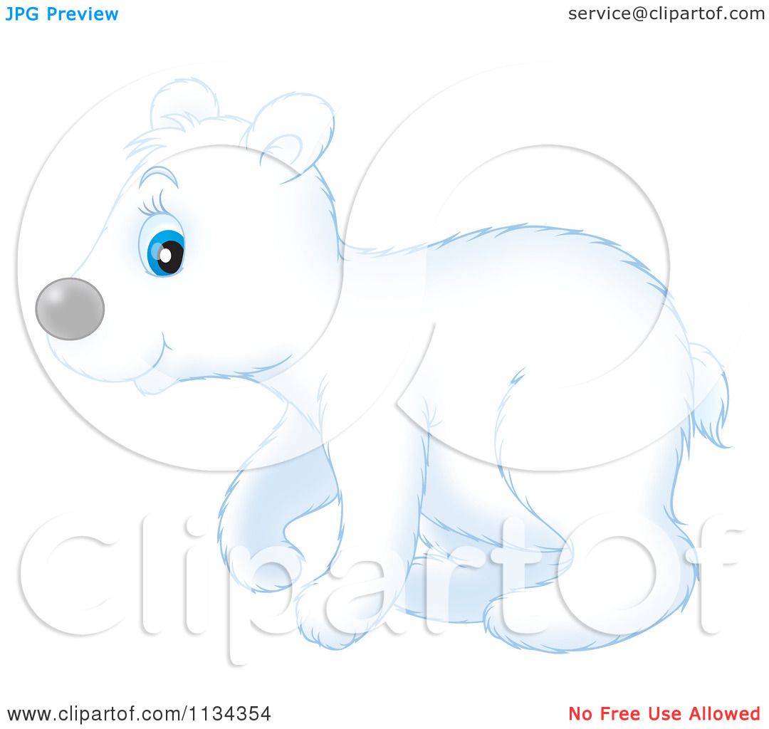 Cartoon Of A Cute Polar Bear - Royalty Free Clipart by Alex Bannykh