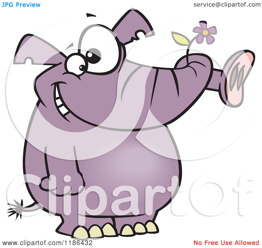 Cartoon of a Giddy Purple Elephant Holding a Flower in His Trunk - Royalty  Free Vector Clipart by toonaday #1186432