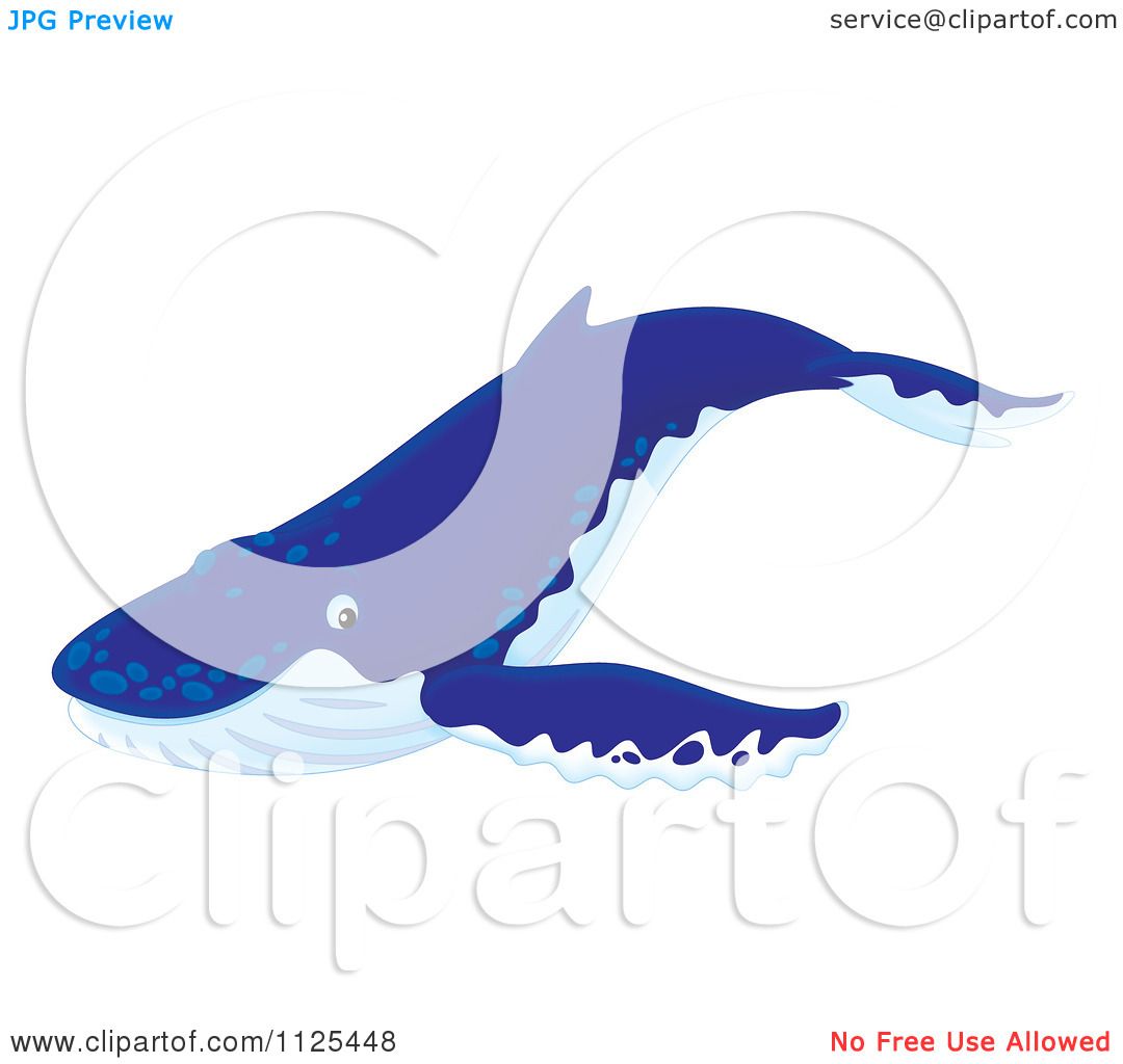 Cartoon Of A Happy Cute Humpback Whale - Royalty Free ...