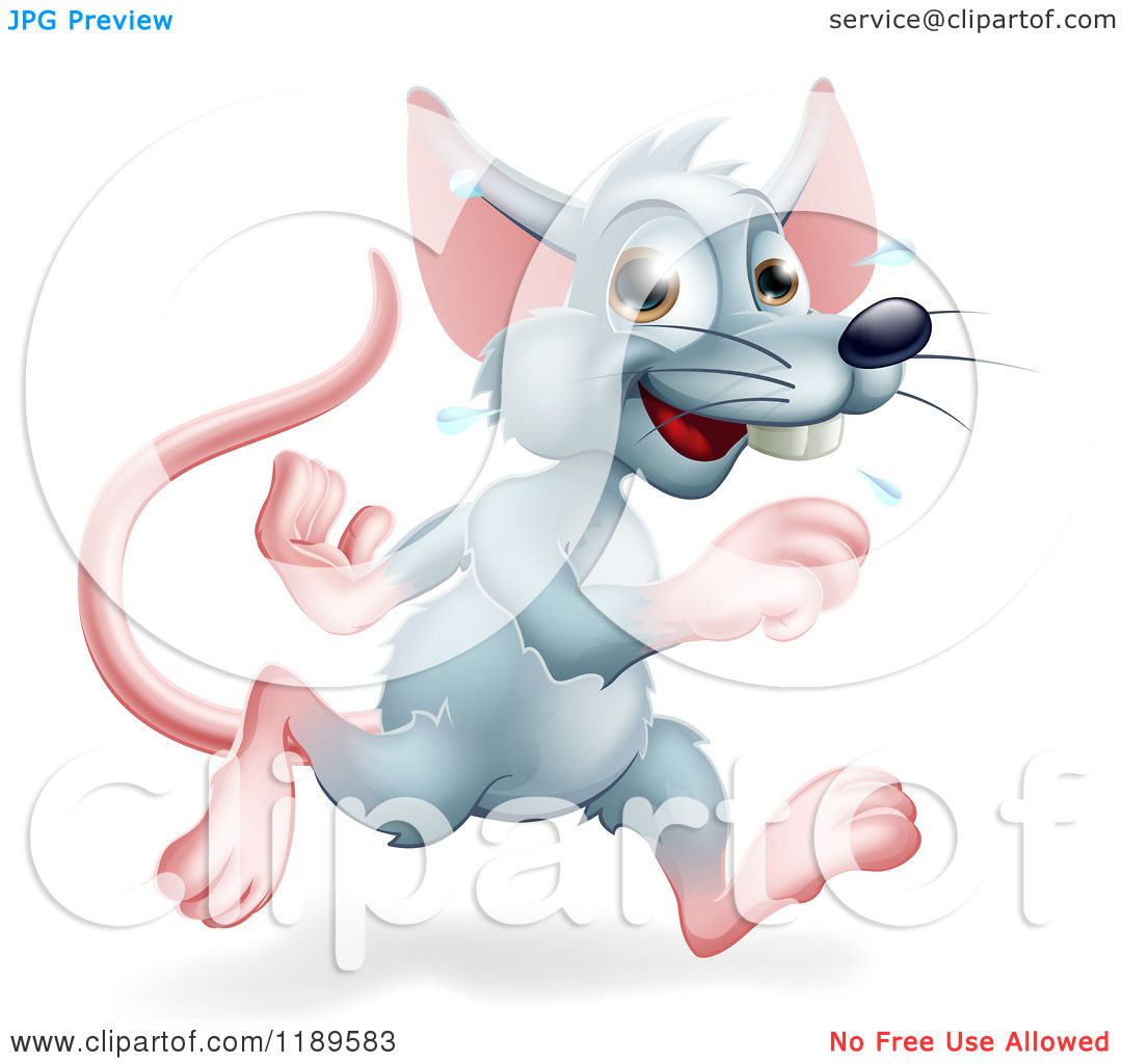 Cartoon of a Happy Gray Rat Running - Royalty Free Vector Clipart by  AtStockIllustration #1189583