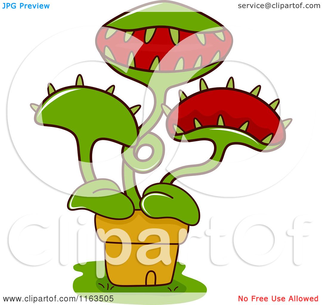 Cartoon of a Potted Venus Fly Trap Plant - Royalty Free Vector Clipart by  BNP Design Studio #1163505