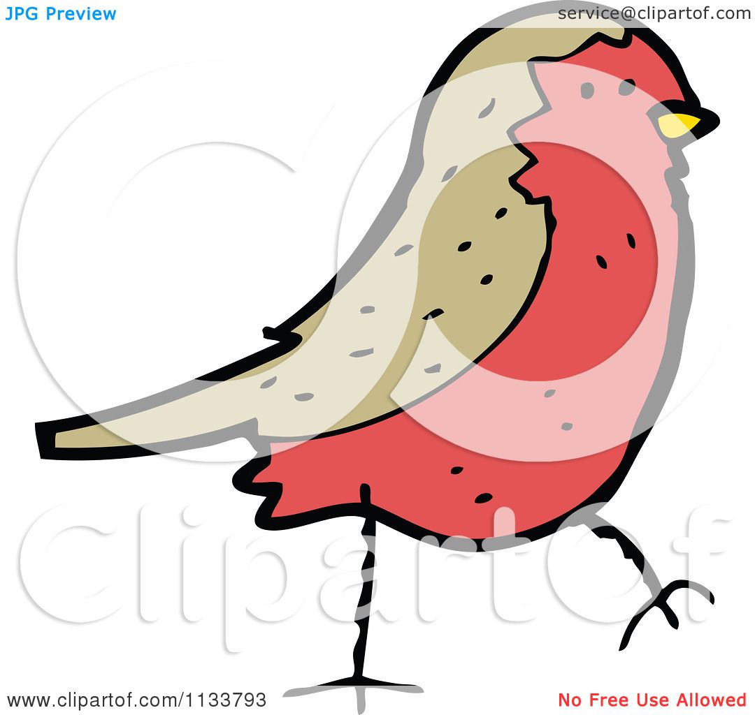 Cartoon Of A Robin Bird 1 - Royalty Free Vector Clipart by