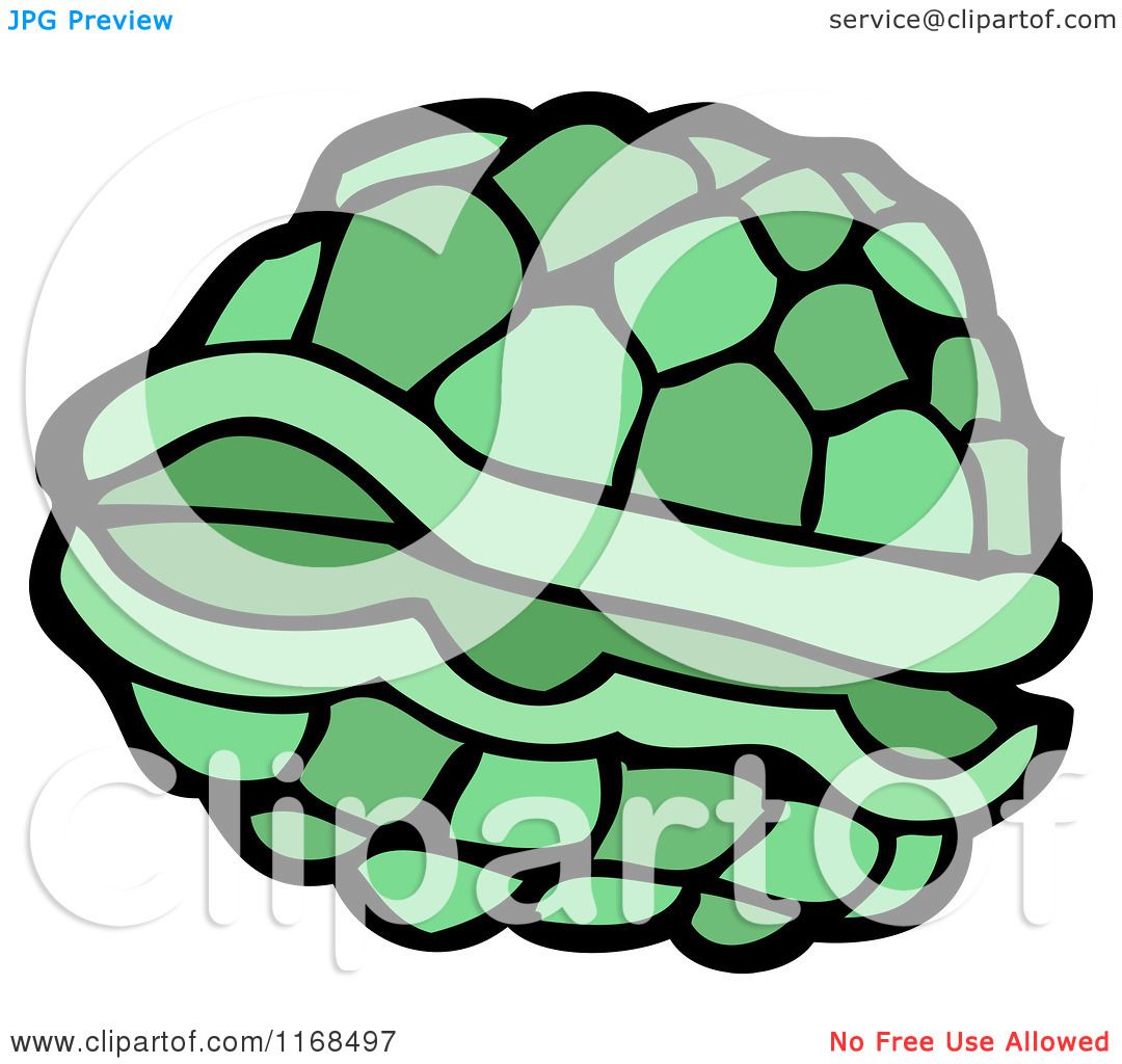 Cartoon of a Turtle Shell - Royalty Free Vector Illustration by  lineartestpilot #1168497