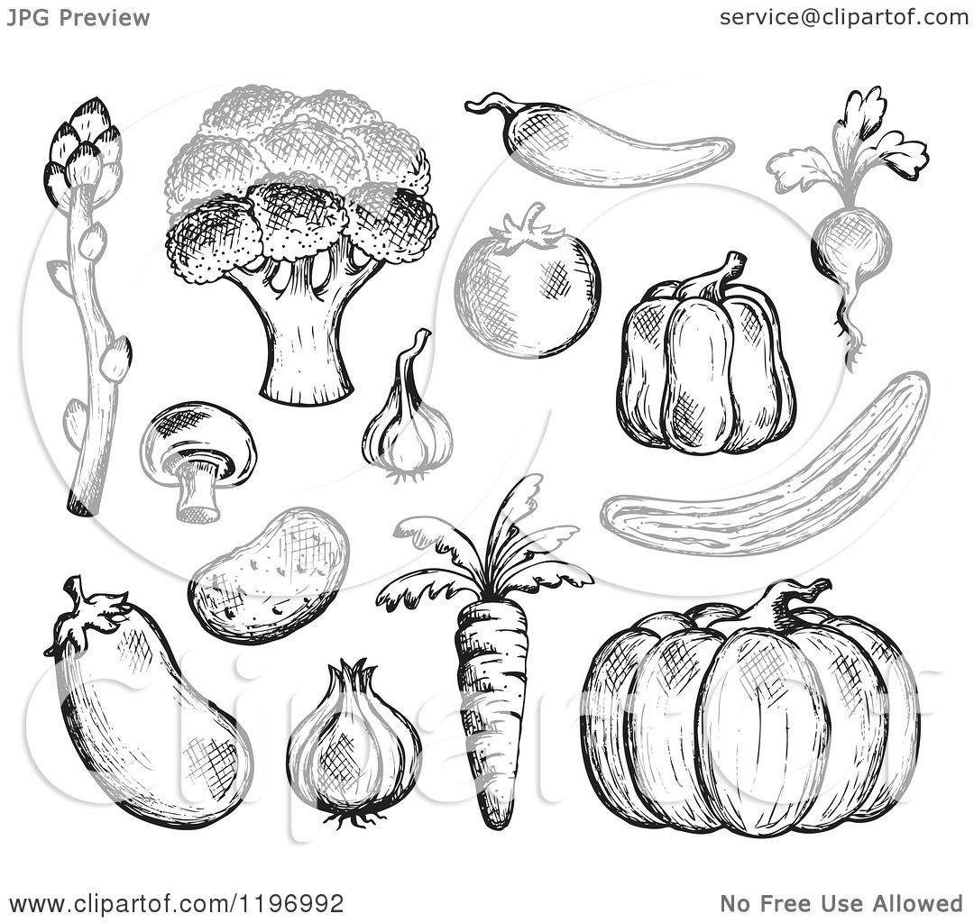 Cartoon of Black and White Sketched Vegetables Royalty