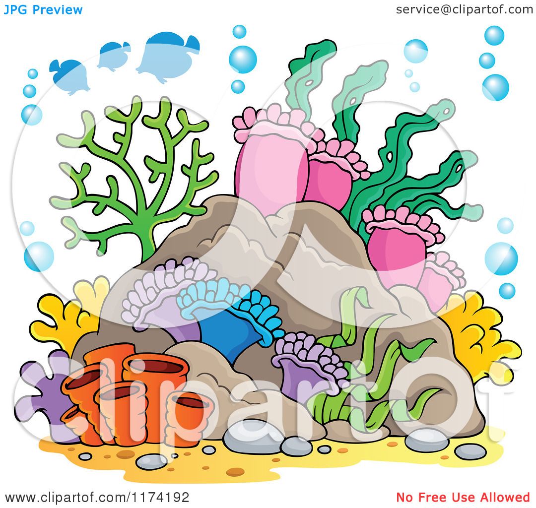 Cartoon of Reef Corals Anemones and Fish - Royalty Free Vector Clipart ...