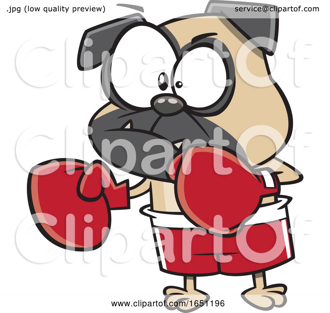 Cartoon Pugnacious Boxing Dog by toonaday #1651196