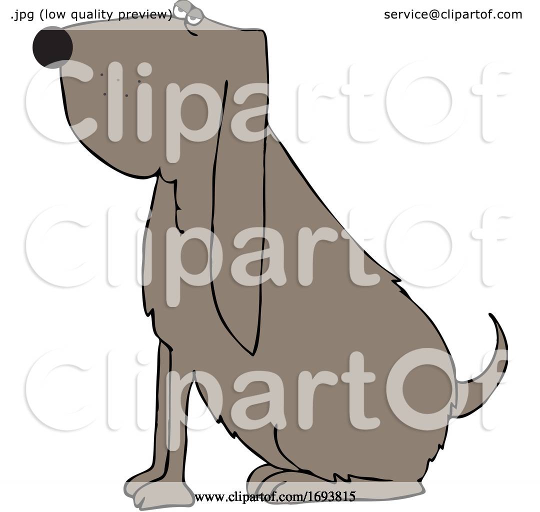 Cartoon Sitting Bloodhound Dog by djart 1693815