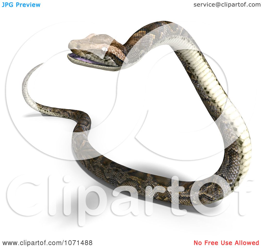 Clipart 3d Brown Python Snake 5 - Royalty Free CGI ...