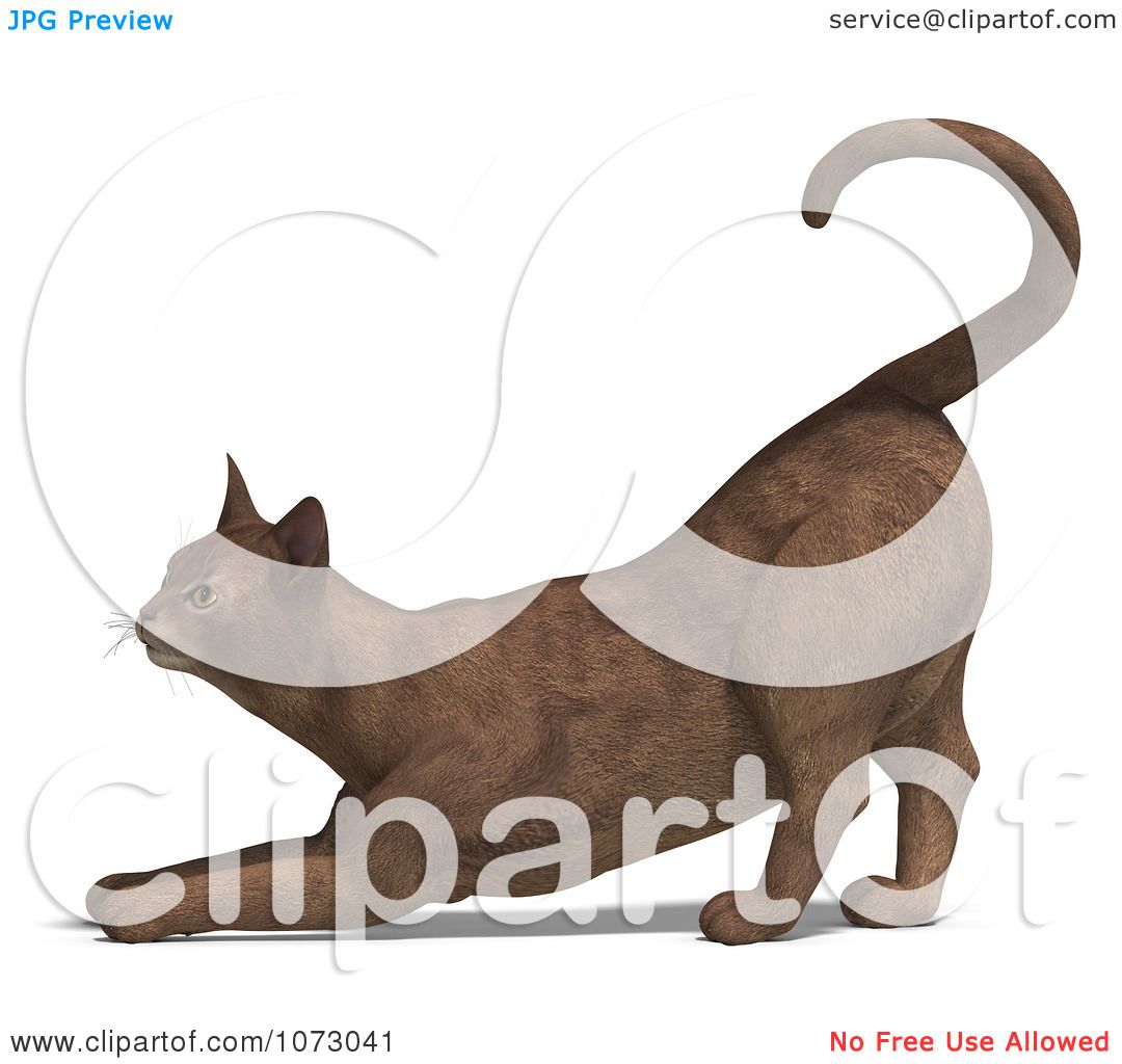 1,600+ Cat Stretching Stock Illustrations, Royalty-Free Vector Graphics &  Clip Art - iStock