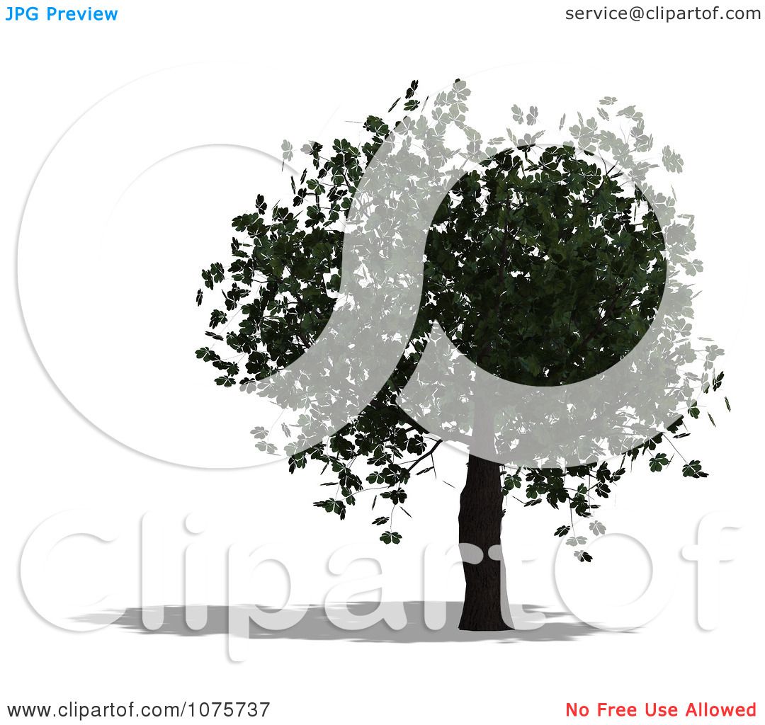 Clipart 3d Chestnut Tree - Royalty Free CGI Illustration by Ralf61 #1075737