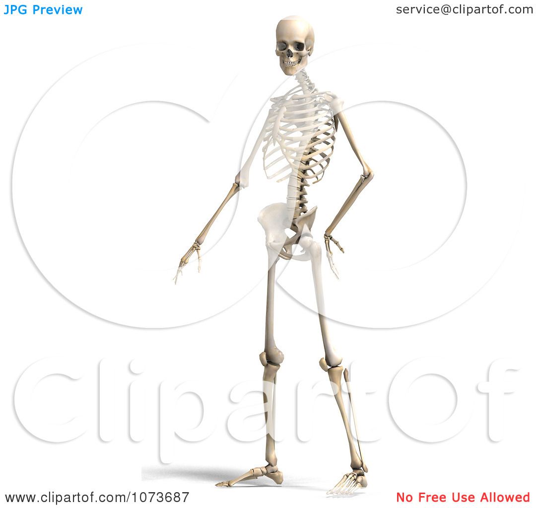 13,558 Skeleton Poses Images, Stock Photos, 3D objects, & Vectors