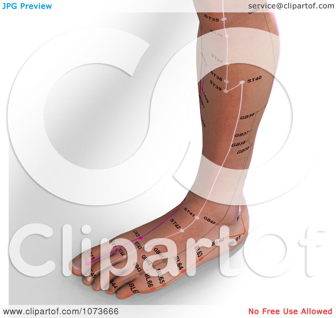 Acupuncture Foot Chart