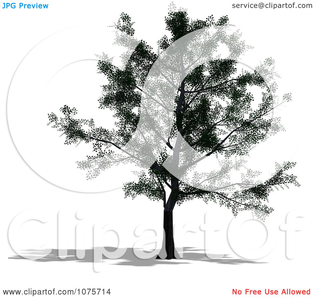 Clipart 3d Maple Tree - Royalty Free CGI Illustration by Ralf61 #1075714