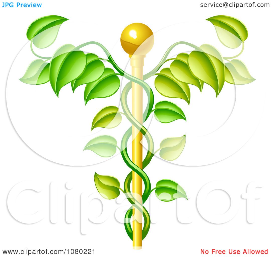 Clipart 3d Natural Vine And Gold Staff Caduceus - Royalty Free Vector ...