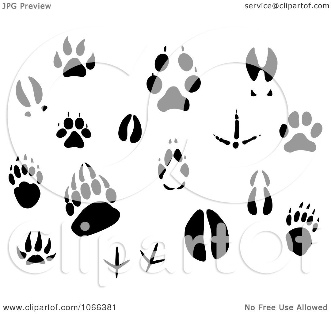 free clipart animal footprints - photo #49
