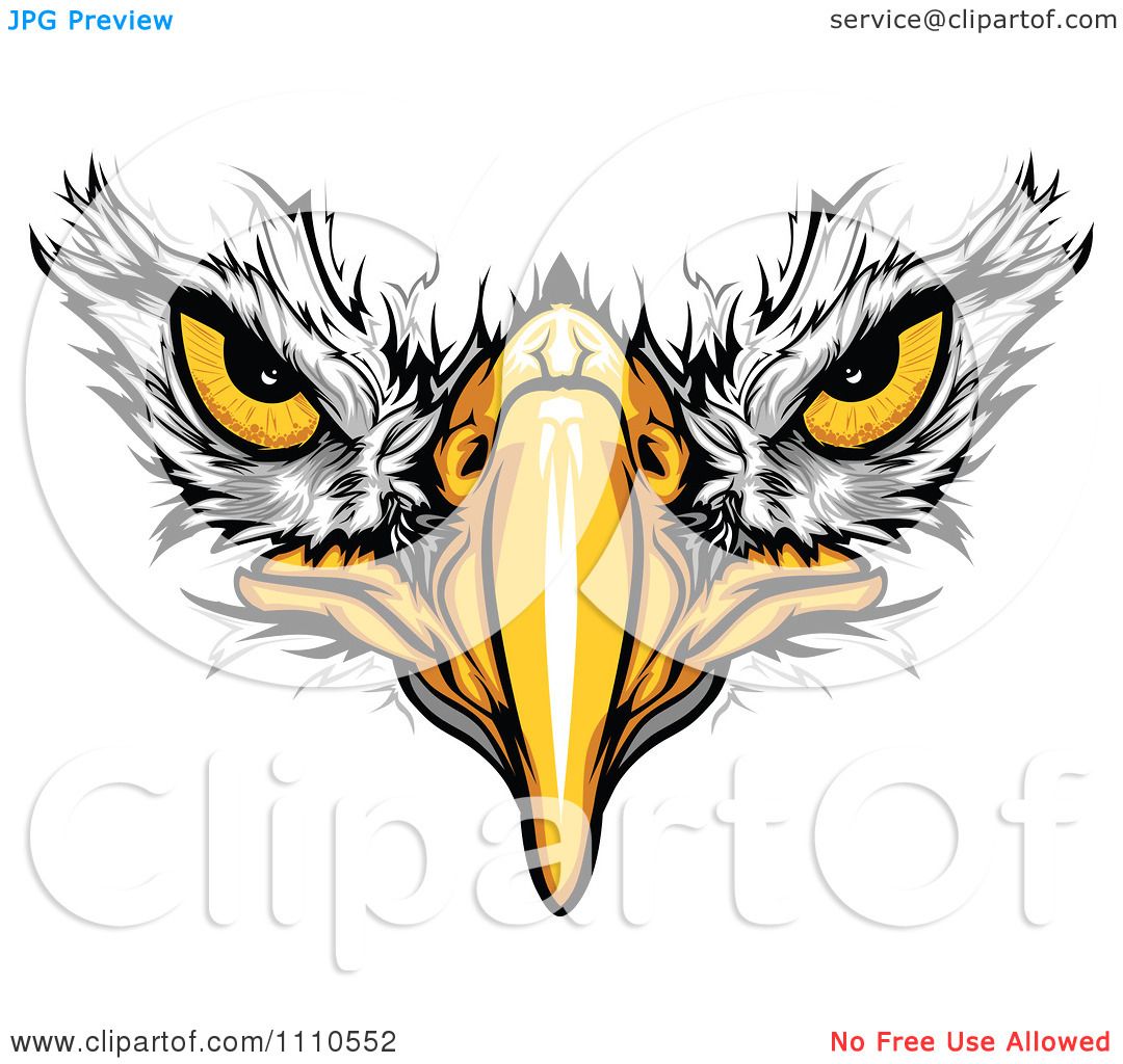 Clipart Bald Eagle Face With Menacing Eyes - Royalty Free Vector