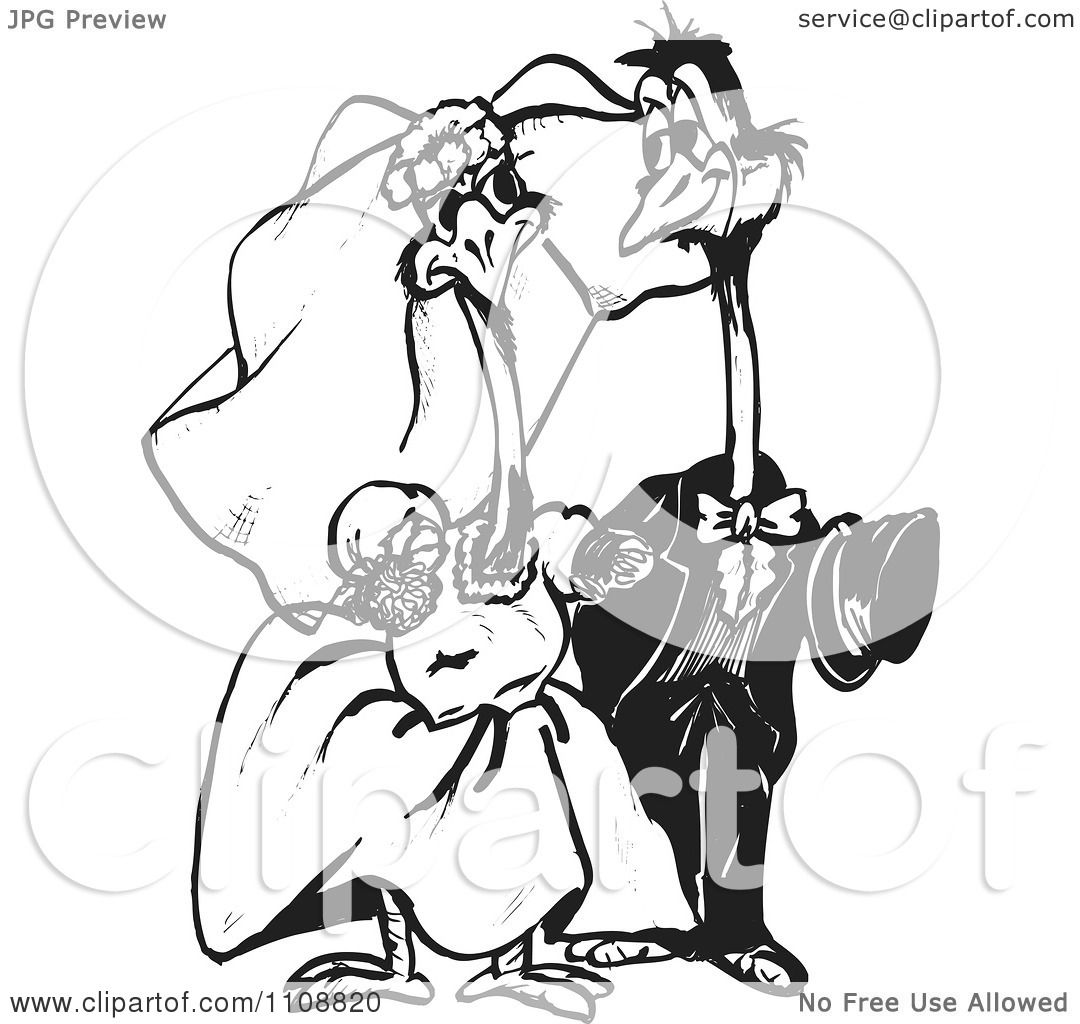 Clipart Black And White Outlined Emu Wedding Couple - Royalty Free ...