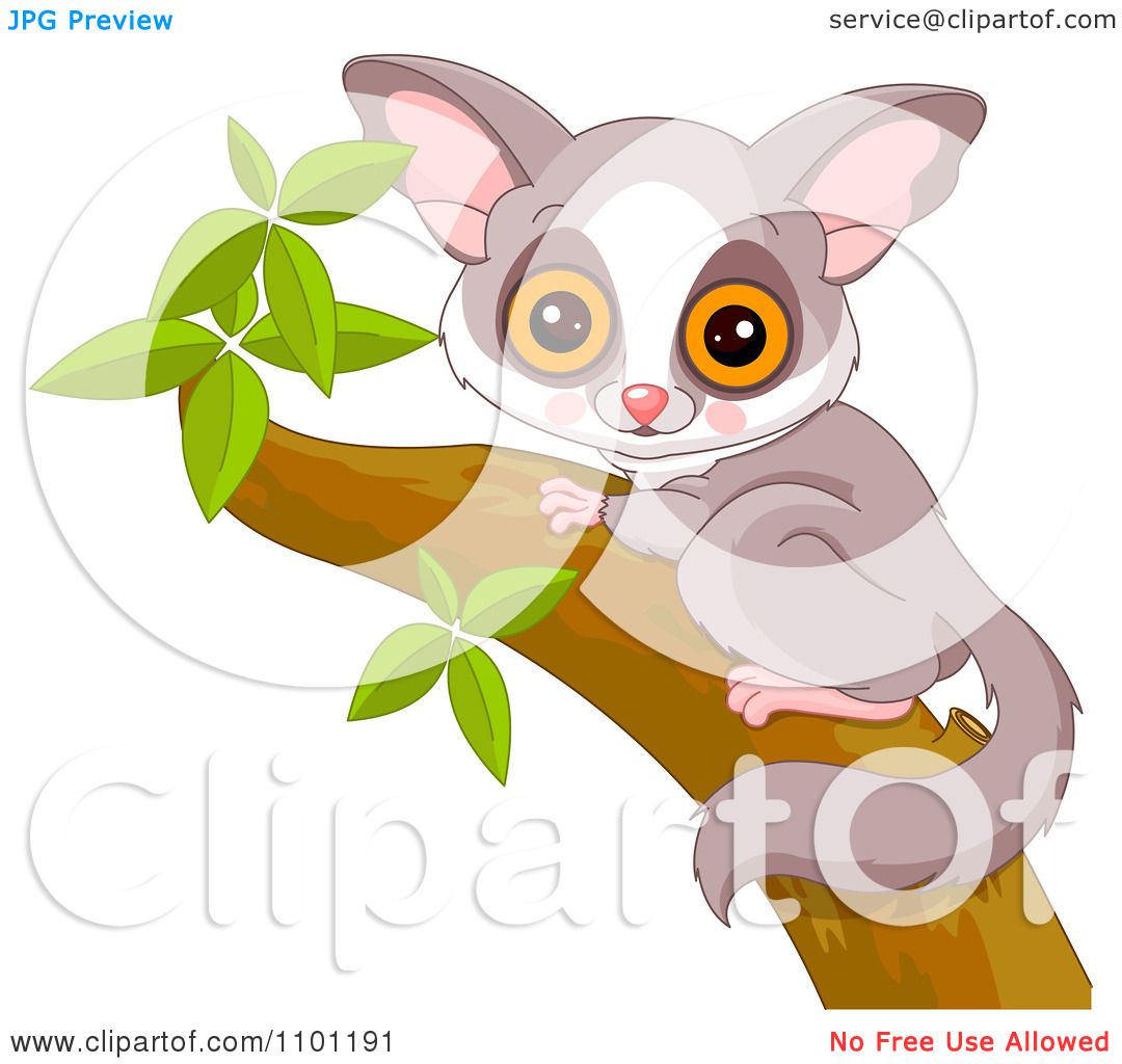 Clipart Happy Cute Galago Bushbaby In A Tree - Royalty ...