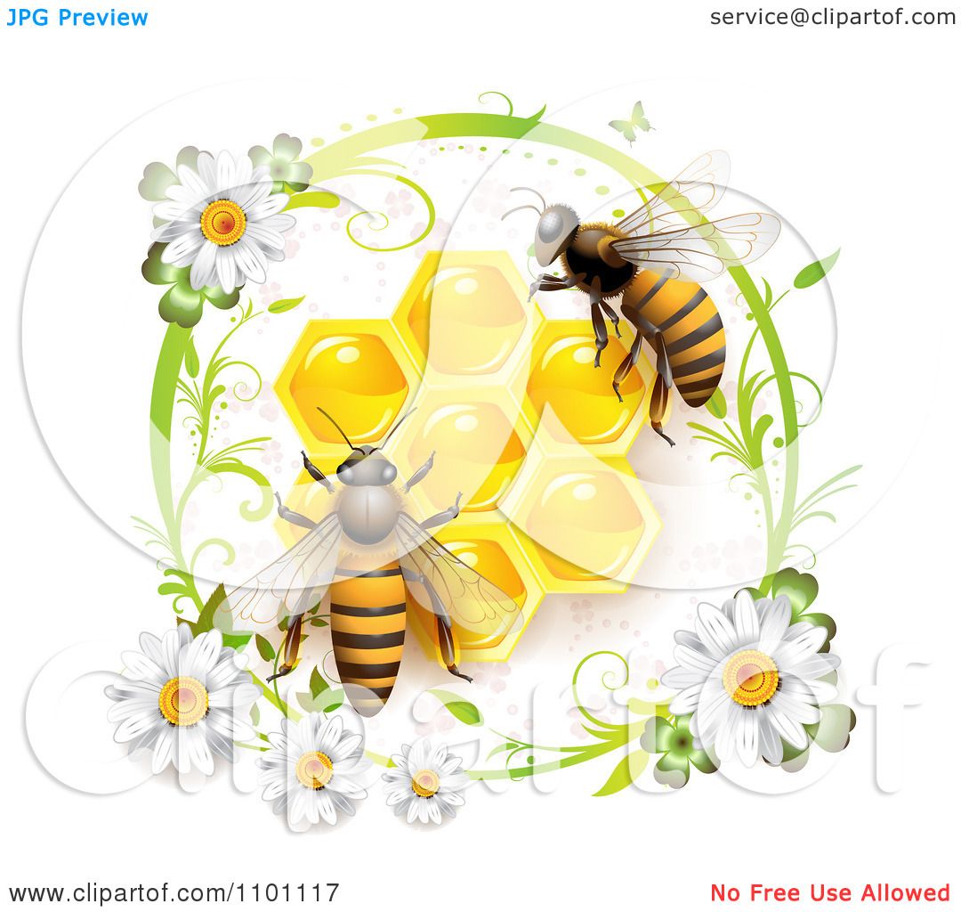 Download Clipart Honey Bees Over Honeycombs In A Green Daisy Frame ...