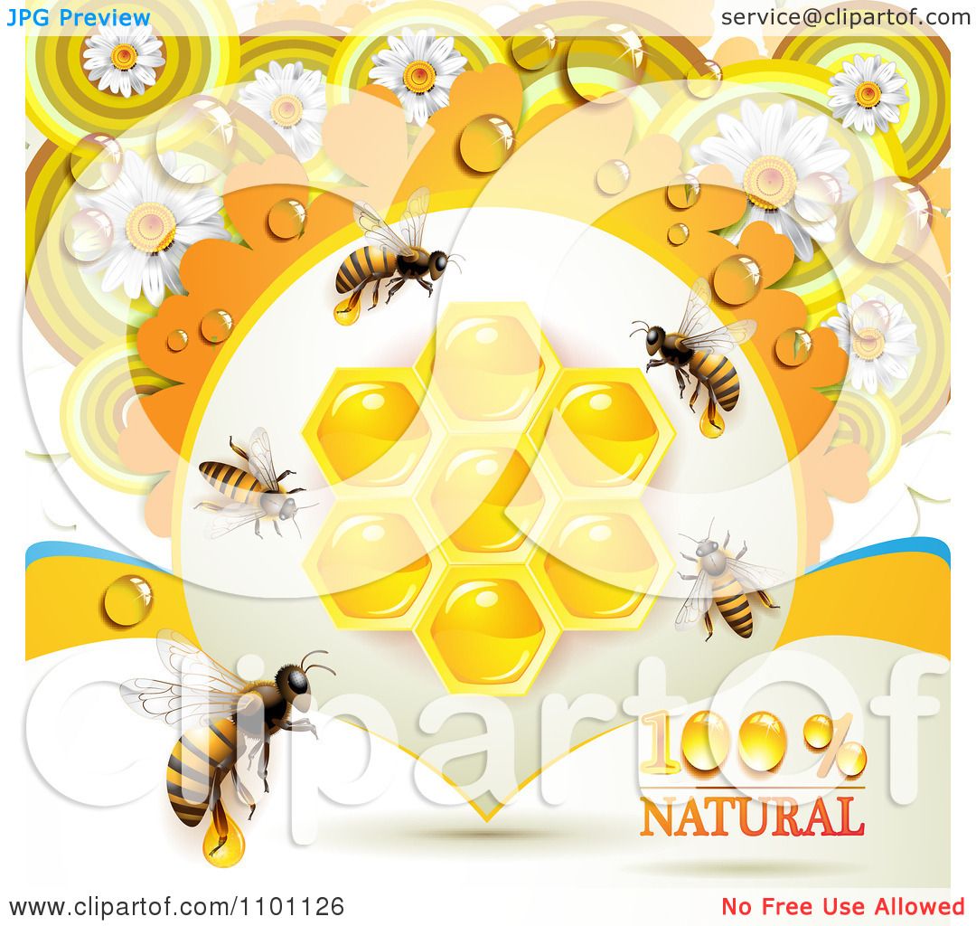 Download Clipart Honey Bees With Combs And Daisies - Royalty Free ...