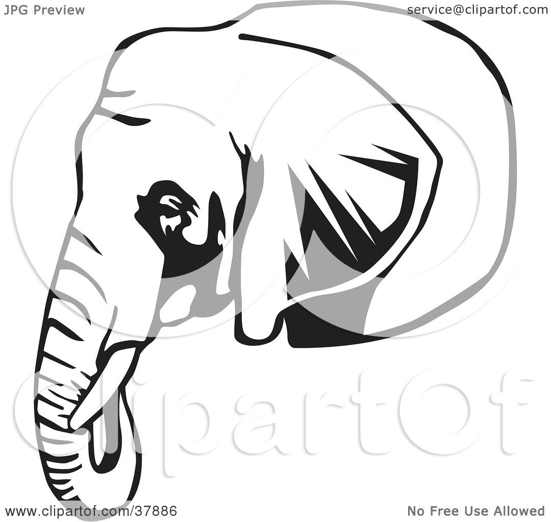 Clipart Illustration of a Black And White Outline Of A ...