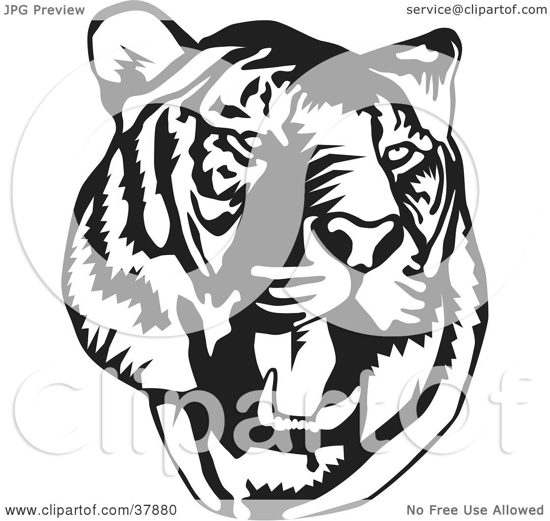 Clipart Illustration of a Black And White Roaring Tiger Head by David ...