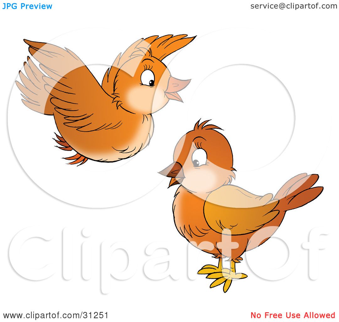 cute birds flying clipart