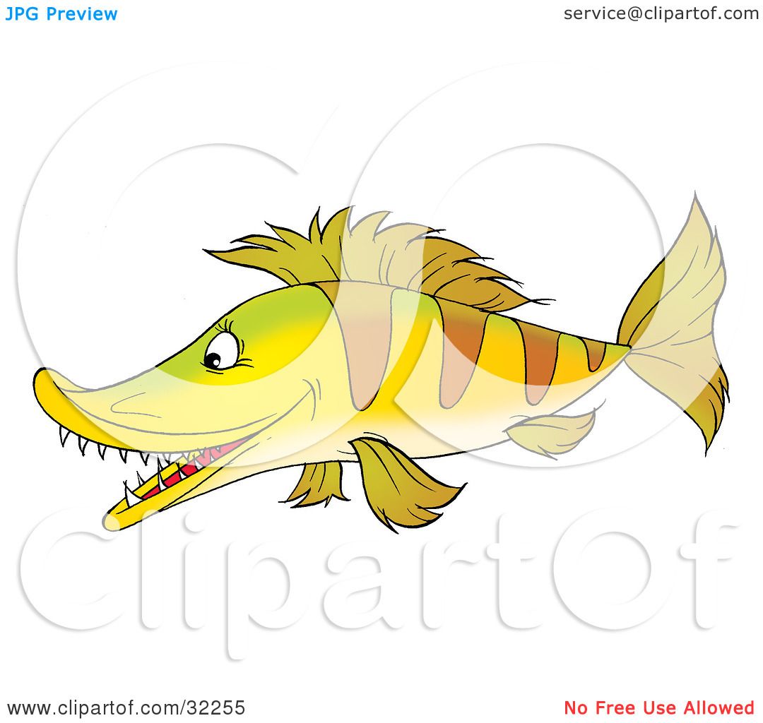 ugly fish with sharp teeth
