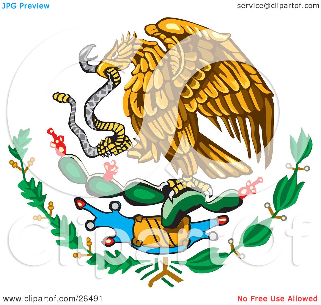 Albums 91+ Pictures Eagle Sitting On A Cactus Eating A Snake Full HD ...