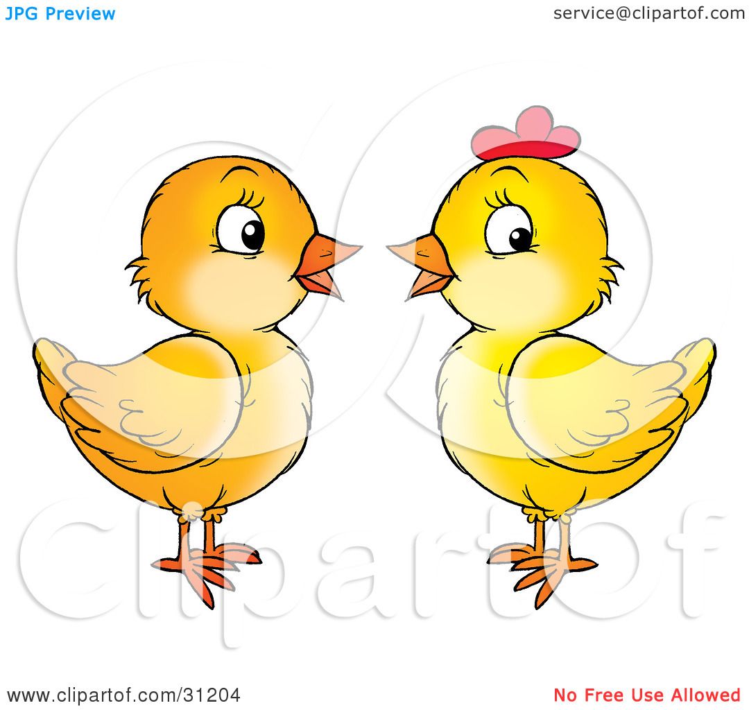 clipart of baby chicks - photo #40