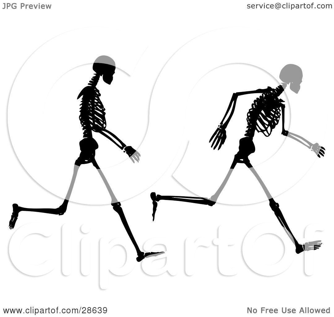 Gallery of Funny Halloween Skeleton Poses.
