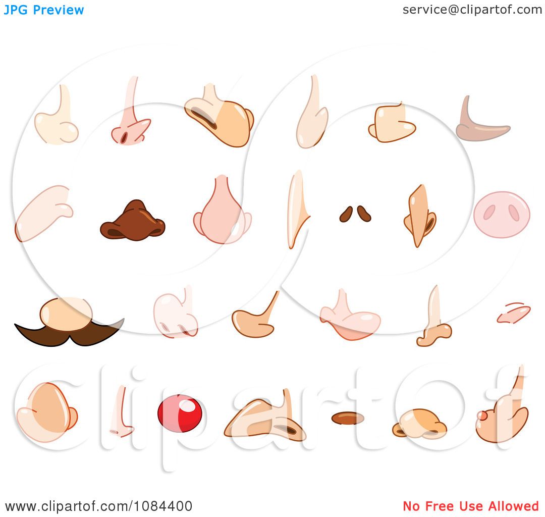 Clipart Many Different Noses Royalty Free Vector