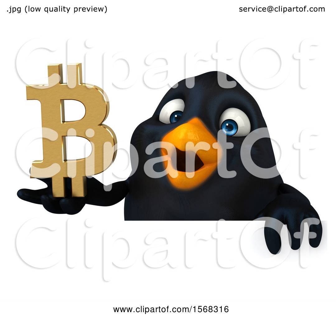 bitcoin blackbird