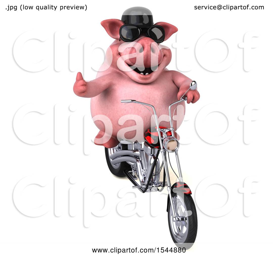 Clipart Of A 3d Chubby Pig Riding A Chopper Motorcycle On A White