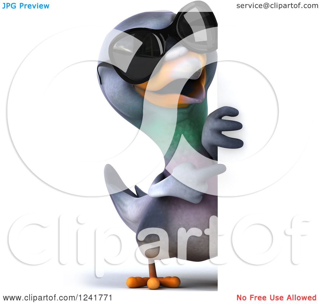 Clipart of a 3d Pigeon Wearing Sunglasses and Pointing Around a Sign