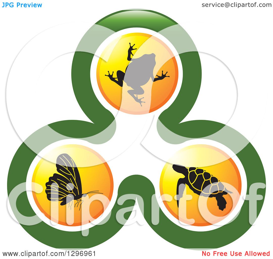 Ecology Nature Biology Logo Clip Art, PNG, 800x667px, Ecology, Biology,  Description, Green, Health Download Free