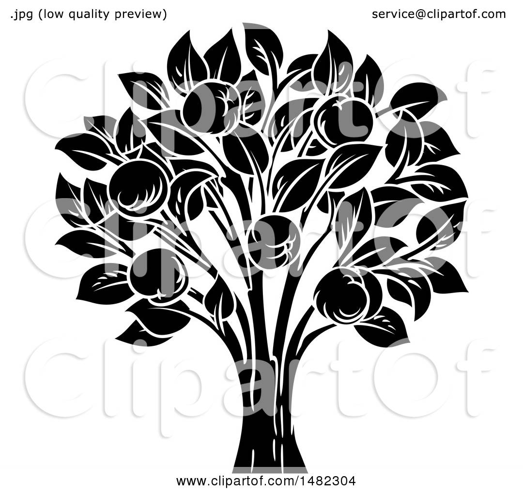 apple tree black and white clipart