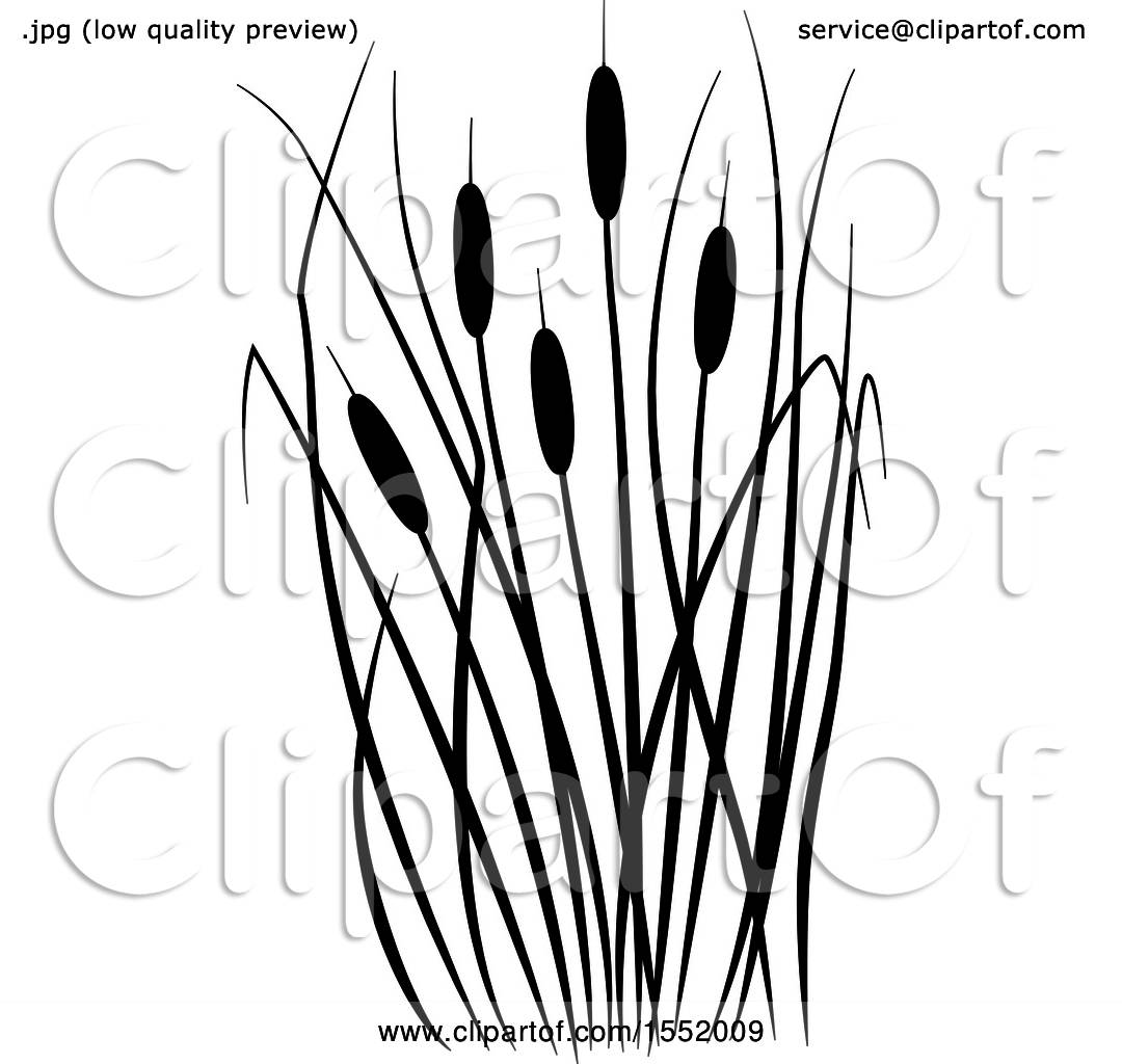 Clipart of a Black and White Cat Tails - Royalty Free Vector