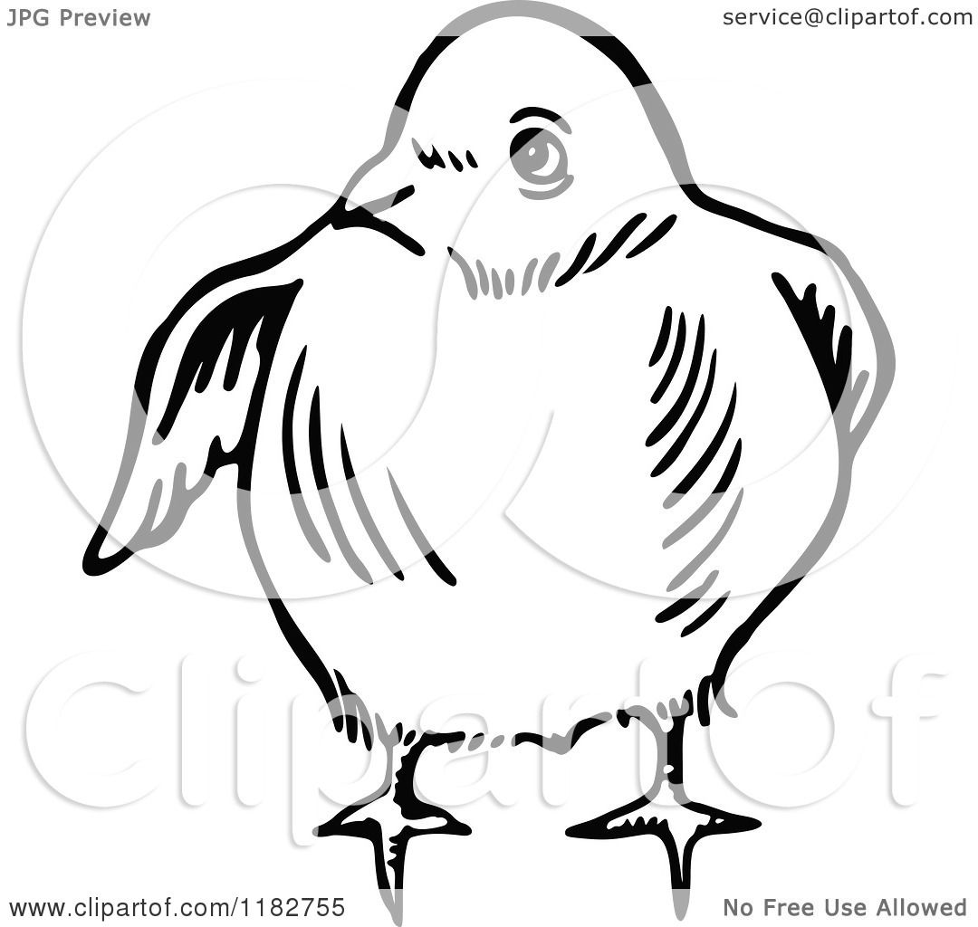 Clipart Of A Black And White Chick 2 Royalty Free Vector Illustration By Prawny 1182755