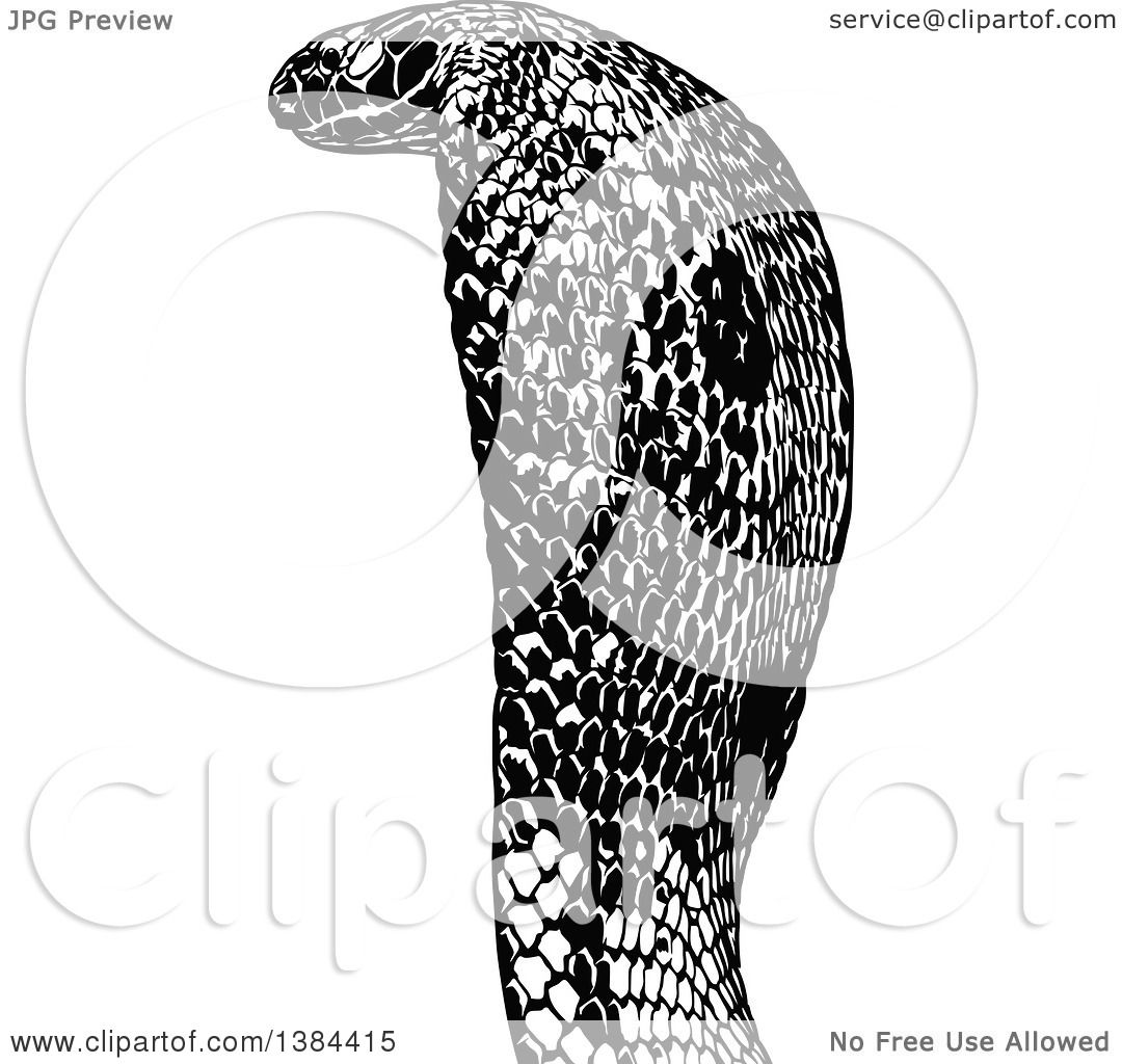 Clipart of a Black and White Cobra Snake - Royalty Free Vector