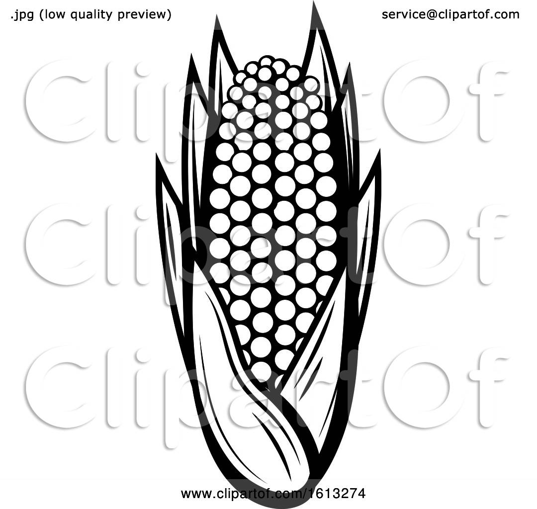 Clipart of a Black and White Ear of Corn - Royalty Free Vector Illustration  by Vector Tradition SM #1613274