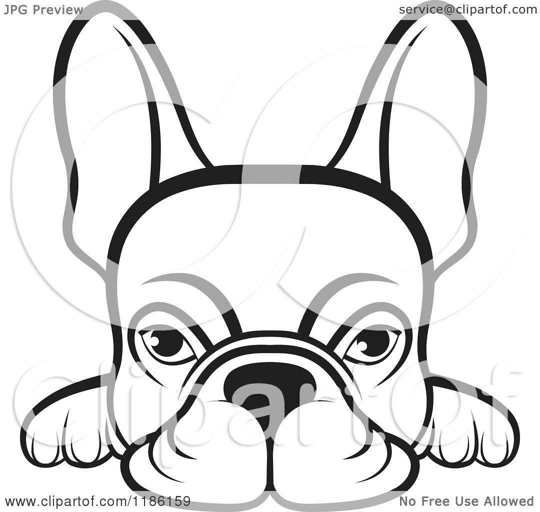 Clipart of a Black and White Frenchie Dog Looking over a Surface