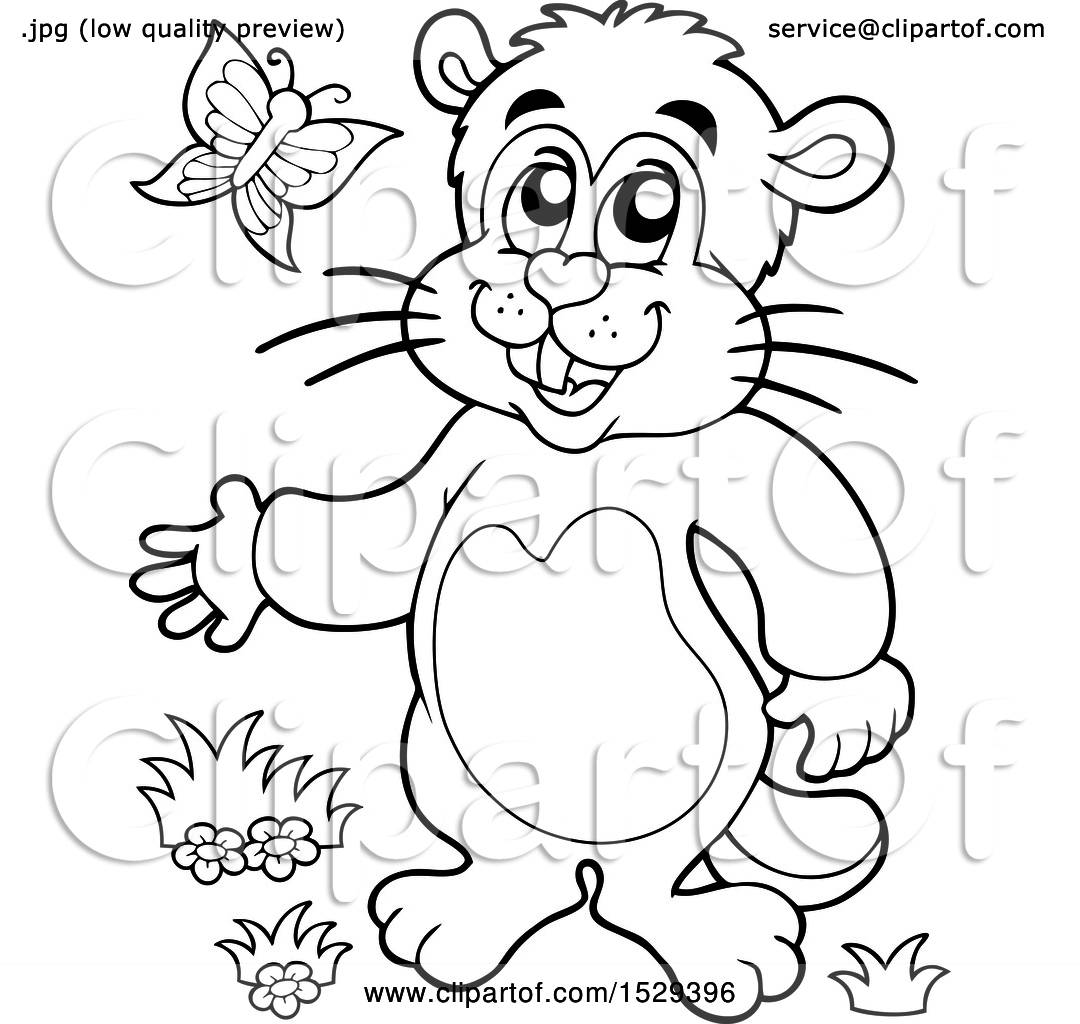 Clipart of a Black and White Groundhog - Royalty Free Vector